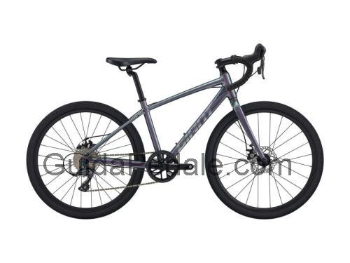 Giant TCX Espoir 24 scheda tecnica e recensioni